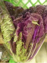紫白菜２