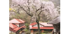 かじか鳴く里山の一軒宿　鎌倉温泉