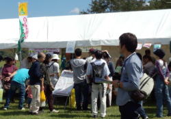 うまいもの祭１
